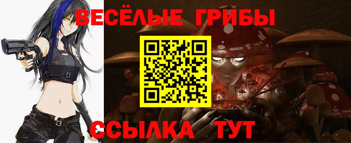Галлюциногенные грибы GOLDEN TEACHER  Псилоцибиновые грибы ЛСД  Семилуки  Вход с VPN 